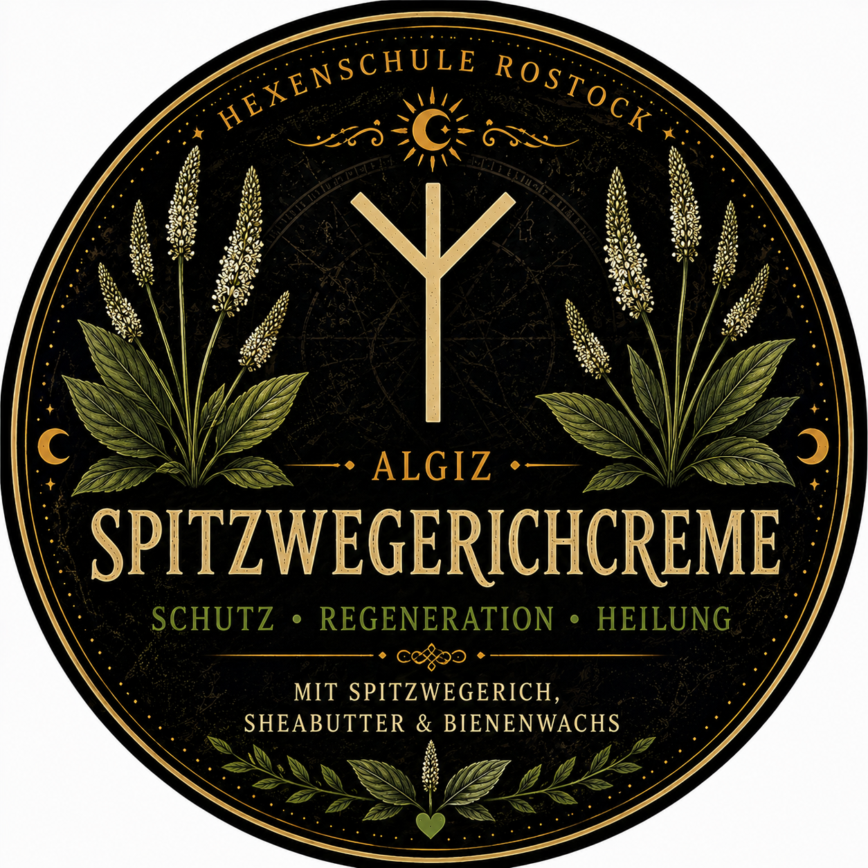 Spitzwegerichcreme – Schutz, Regeneration & Heilung 🌿