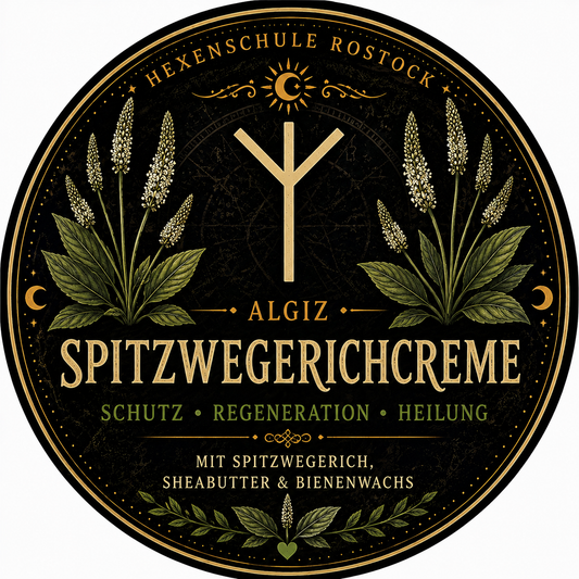 Spitzwegerichcreme – Schutz, Regeneration & Heilung 🌿